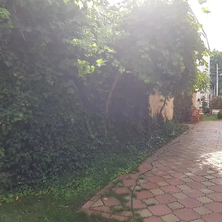 Casa Boiereasca Hostel Craiova